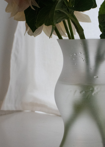 Plastic Surgery Vase 01