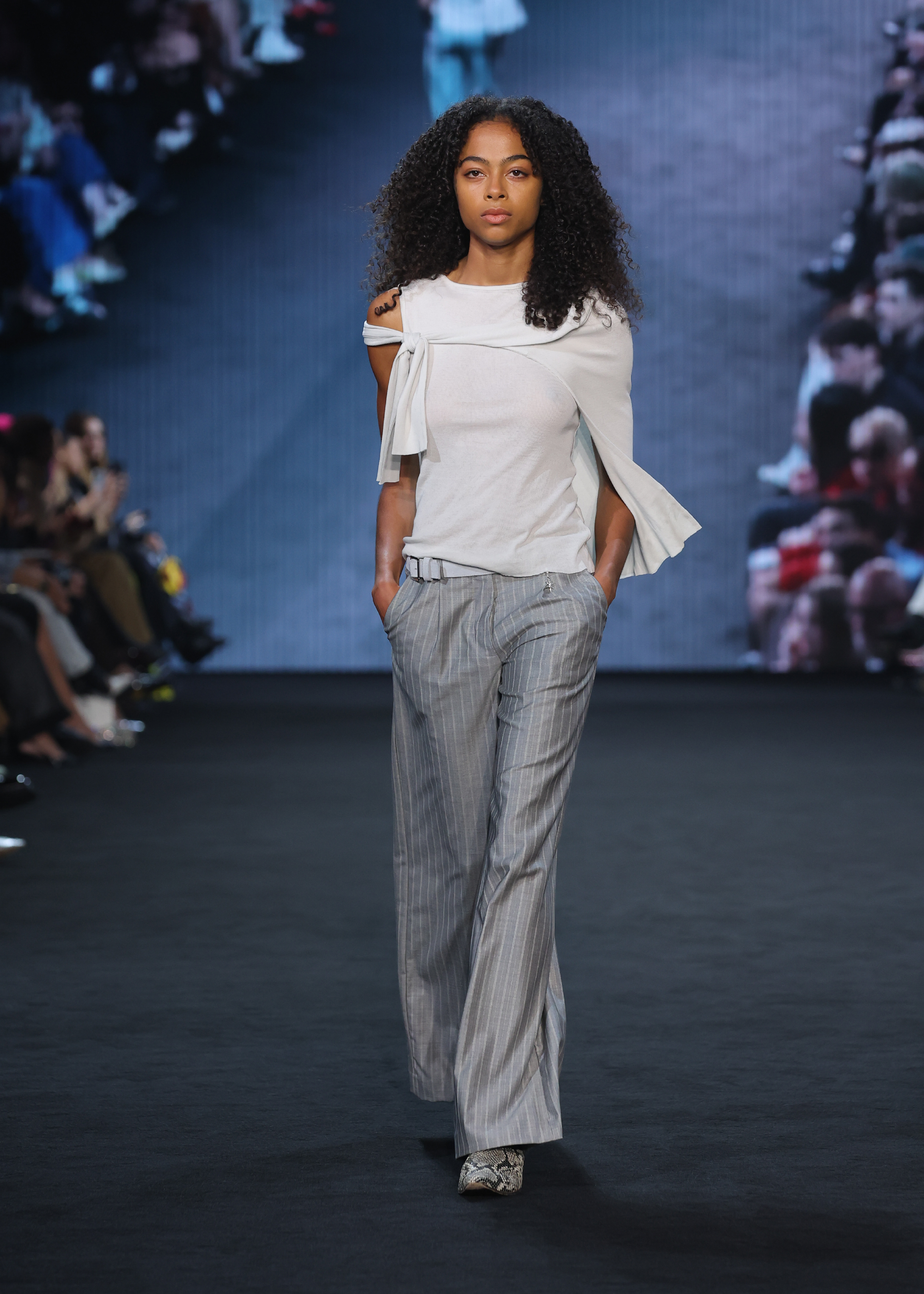 Spatial Trouser ~ Silver Stripe