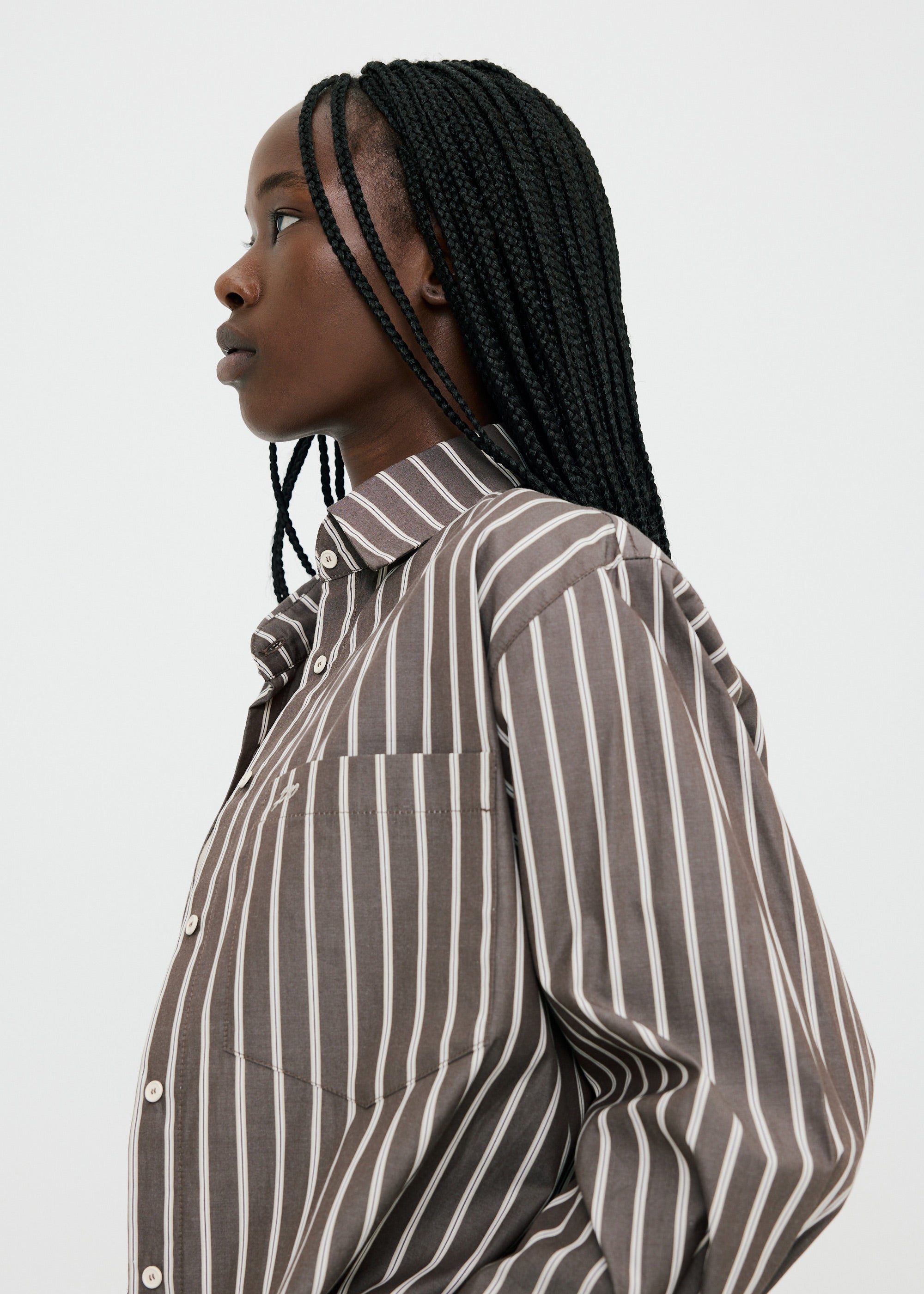 Examine Shirt ~ Umber Stripe