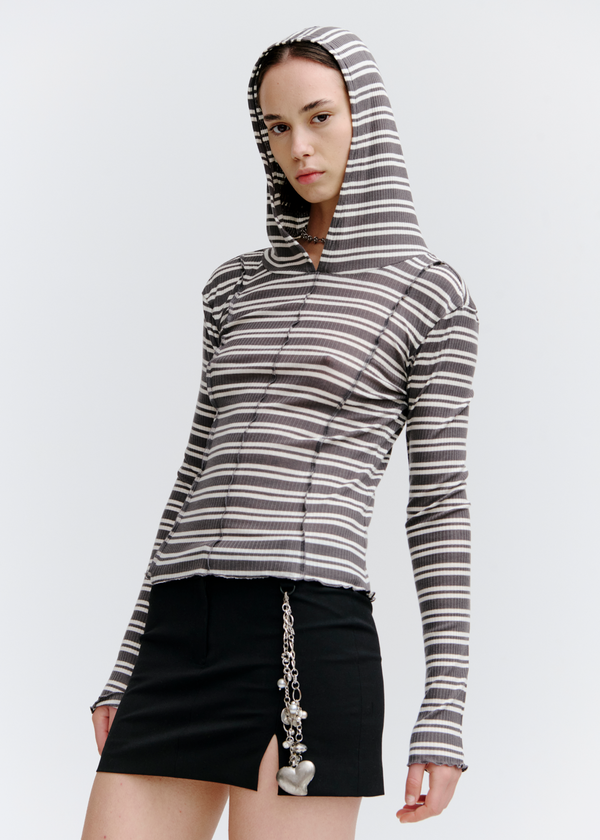 Segment Hooded Top ~ Stripe