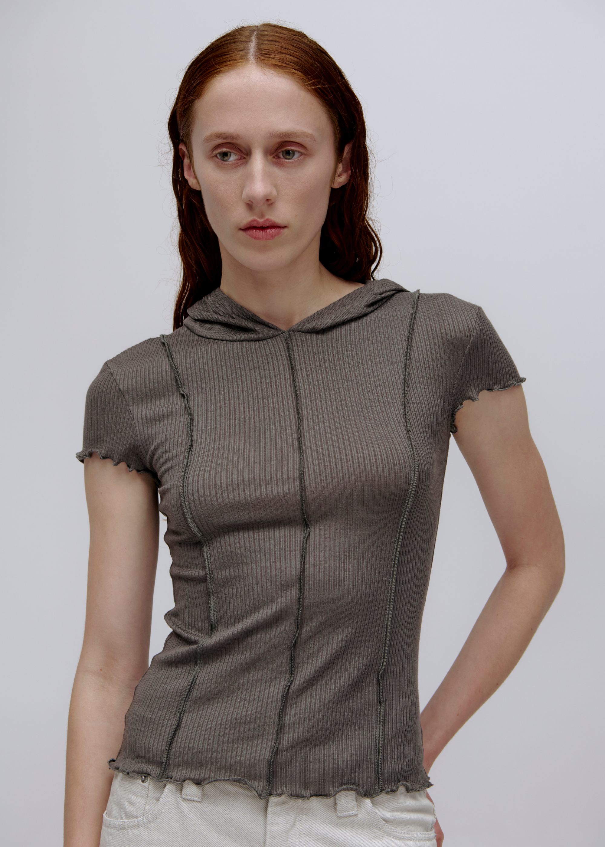 Segment Hooded Tee ~ Pumice